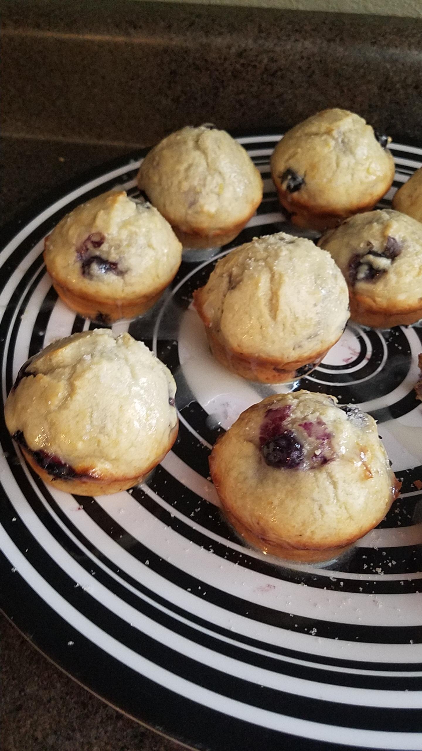 Easy Blueberry Muffins I