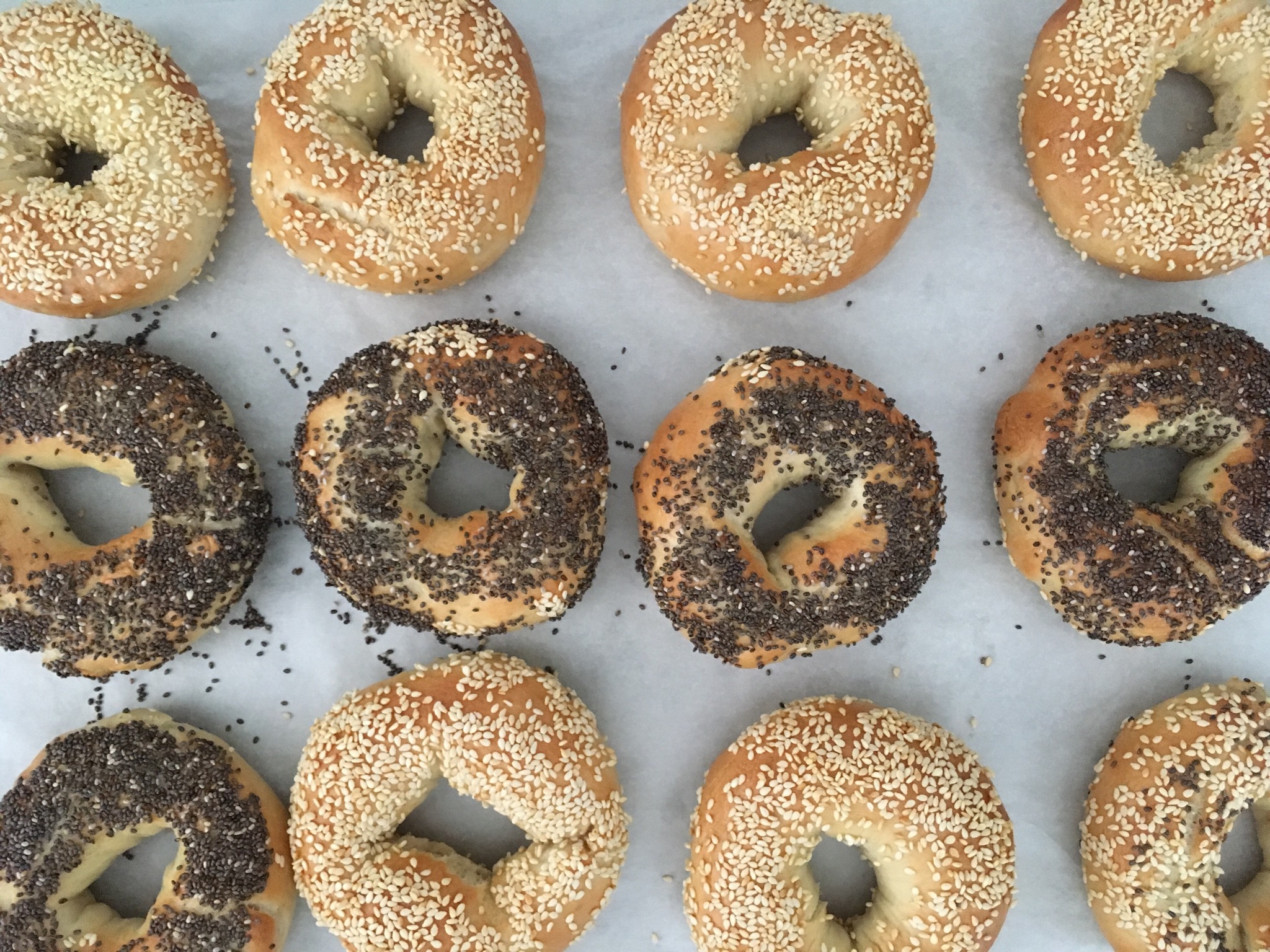 Bread Machine Bagels