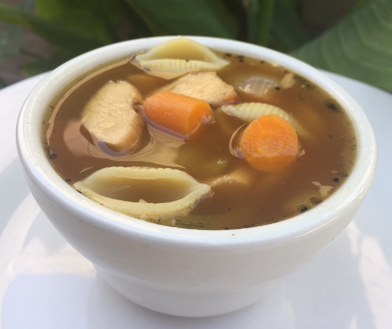 Instant Pot® Chicken Soup