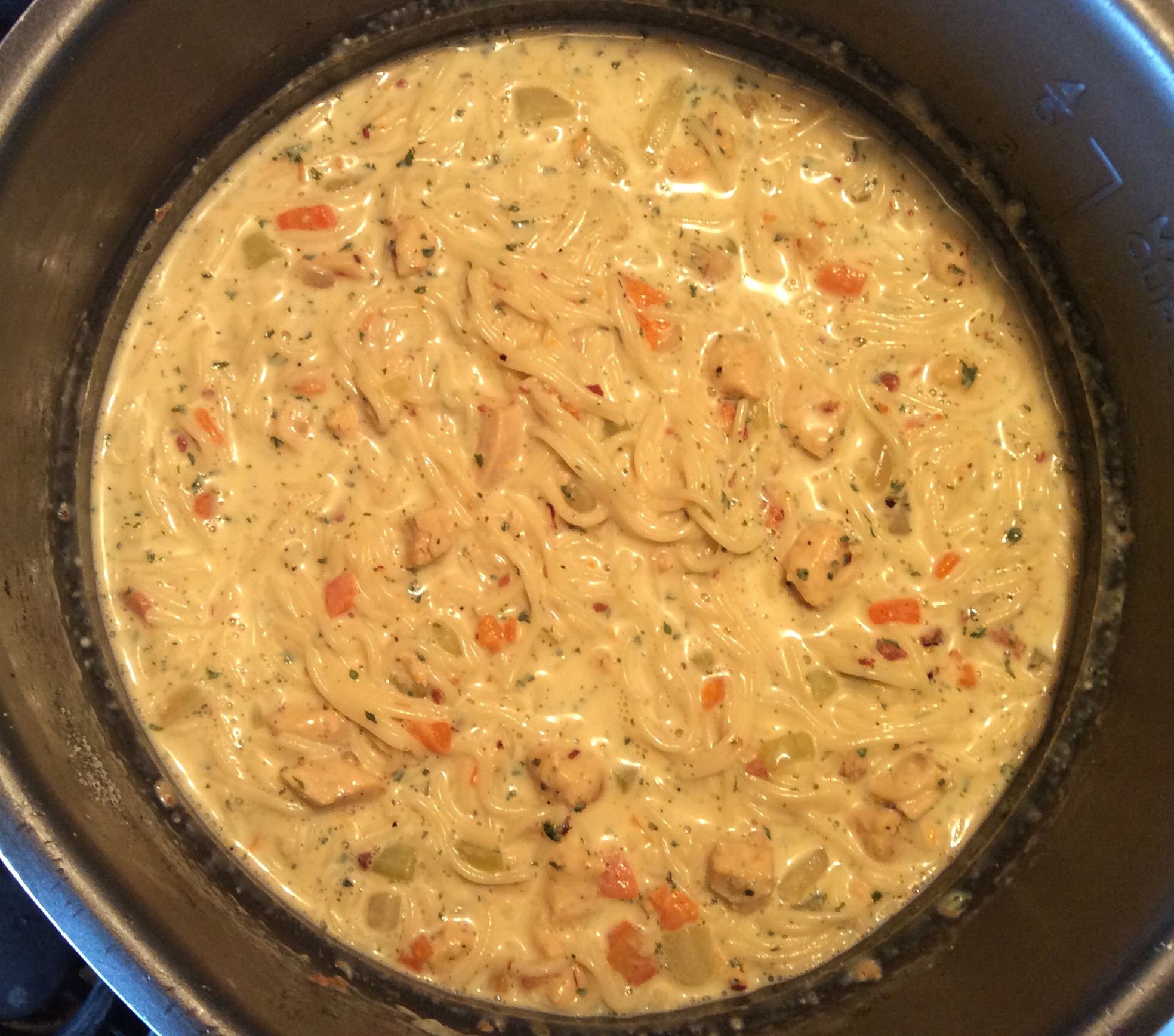Suzanne's Instant Pot® Creamy Chicken Noodle Soup