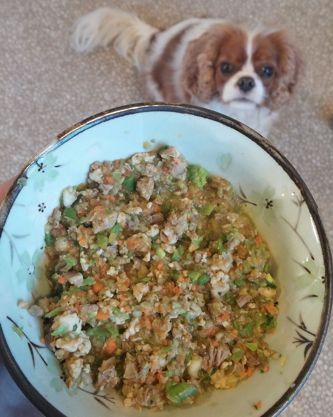 Grain-Free Homemade Dog Food