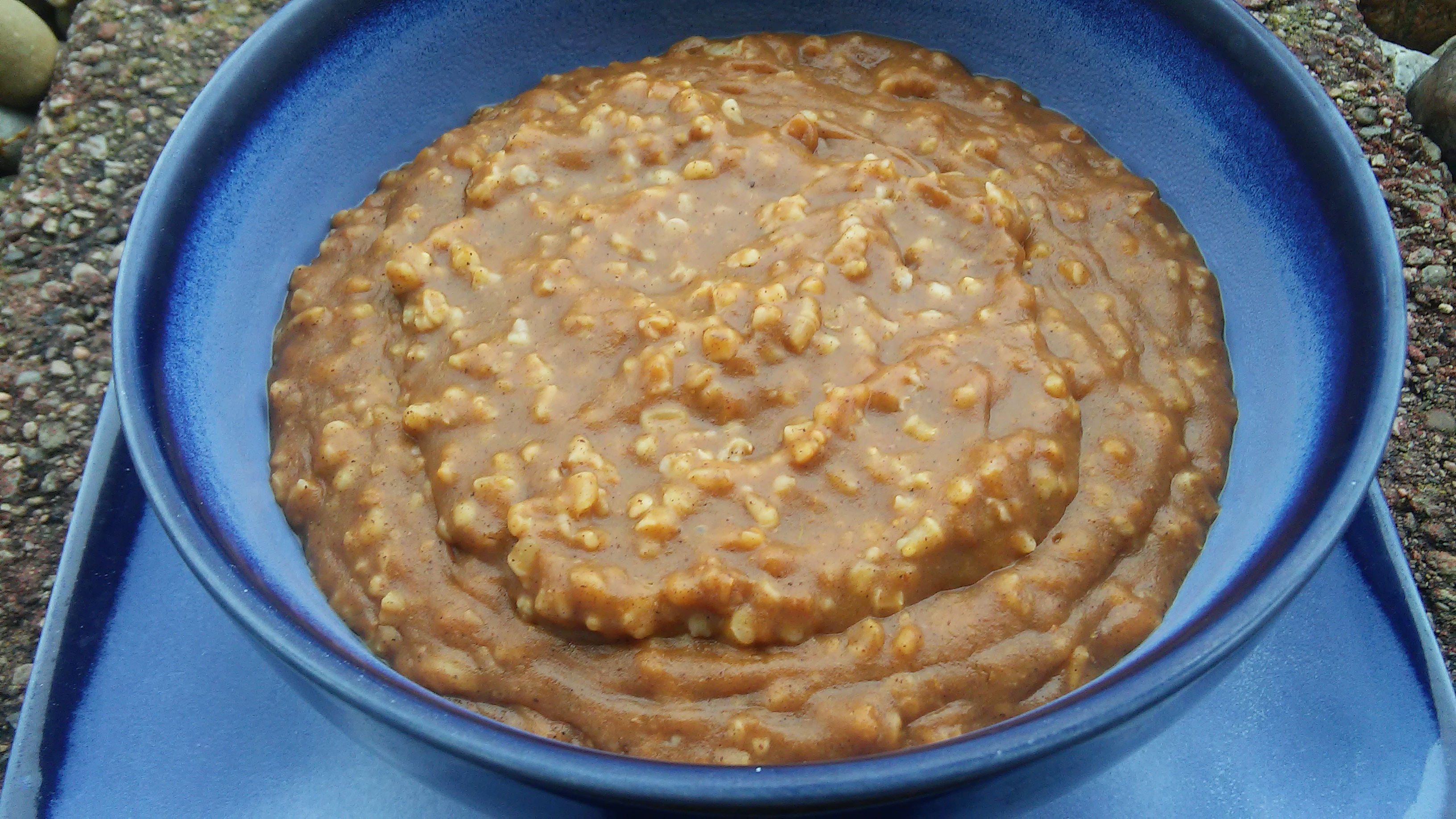 Slow Cooker Pumpkin Steel Cut Oats