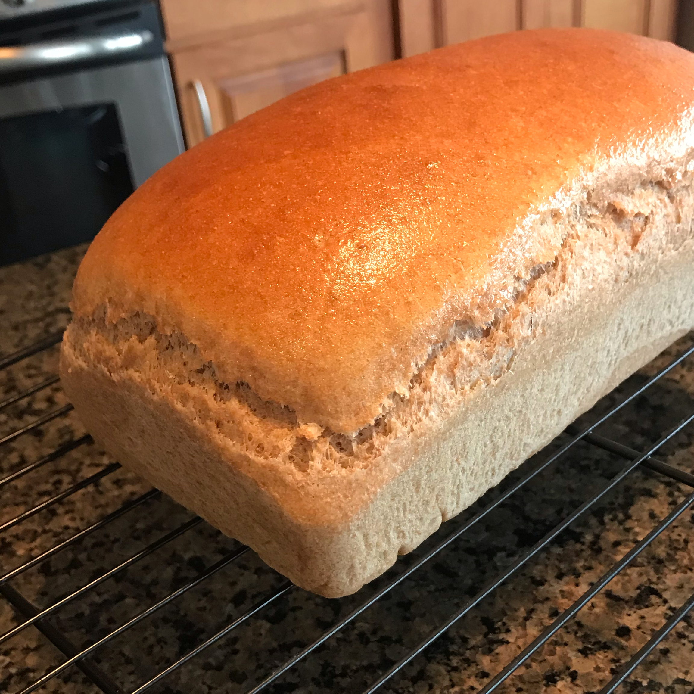 Honey Whole Wheat Bread