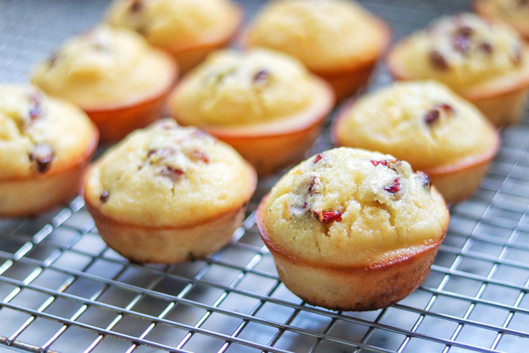 Easy Cranberry-Orange Muffins