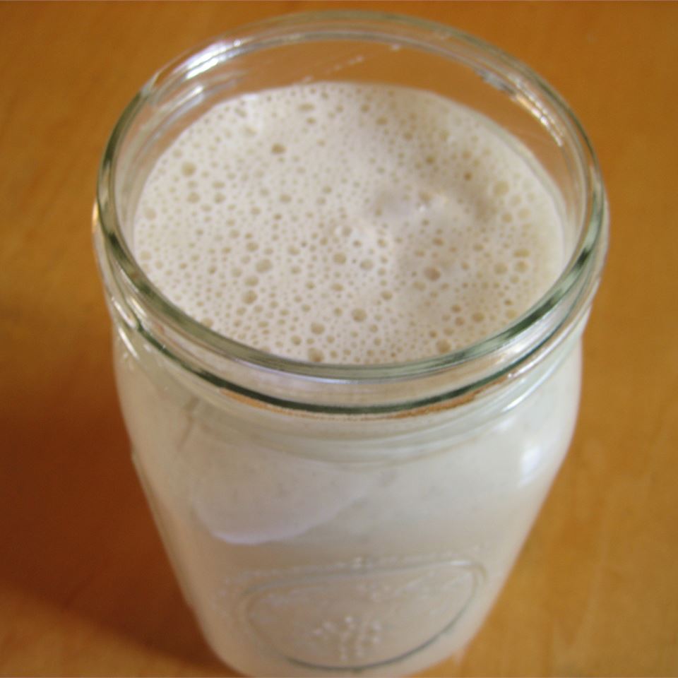 Sourdough Starter