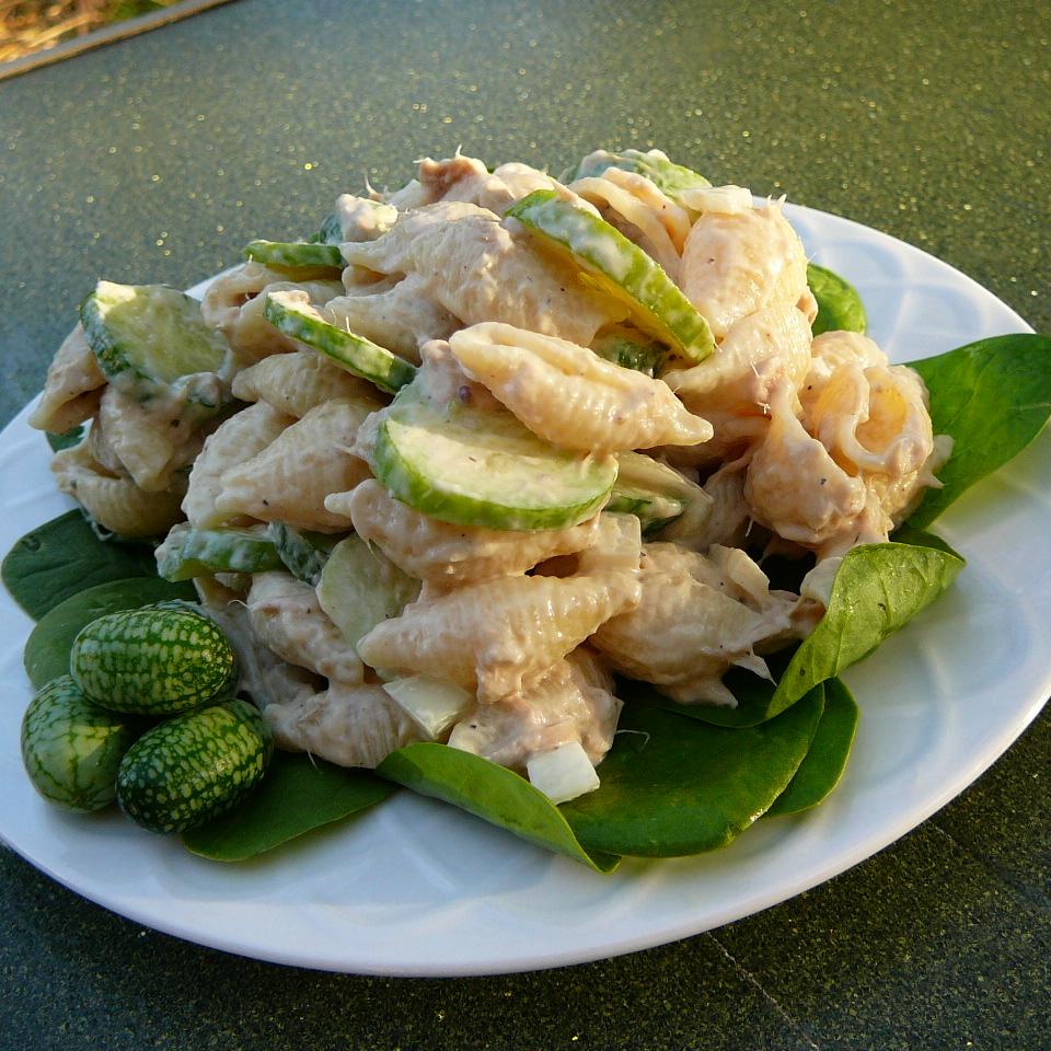 Summertime Fun Pasta Salad