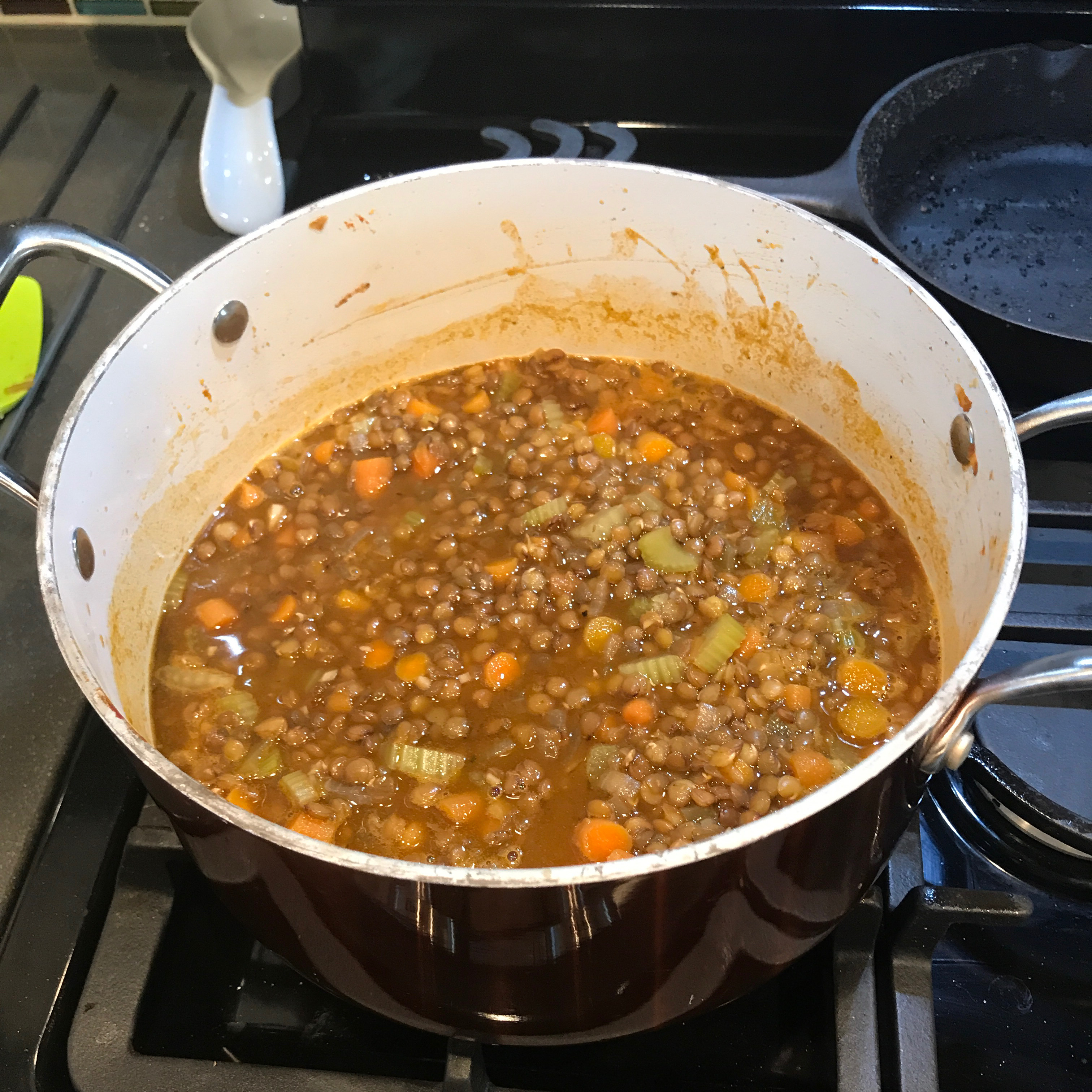 Spicy Lentil Soup